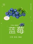 蓝莓海报