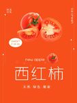西红柿海报