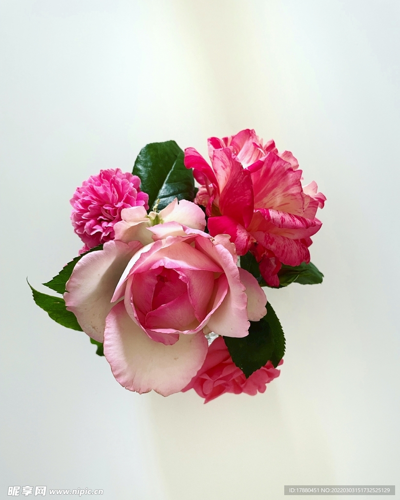 花卉