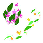 小草小花装饰