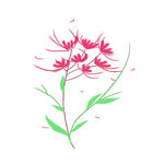 小花
