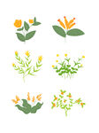 绿植花花
