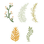 矢量卡通手绘插画绿色植物叶子