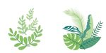 手绘插画漂亮的春天花草套图