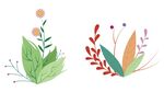 手绘插画漂亮的春天花草套图