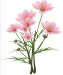 小花朵素材
