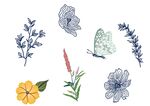小花蝴蝶素材