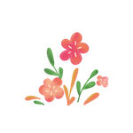 卡通花朵