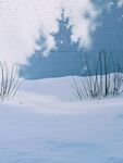 雪景