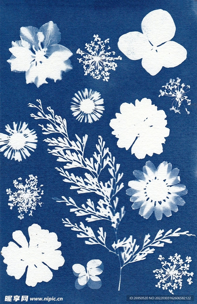 背景纹理