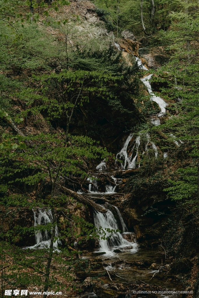 风景
