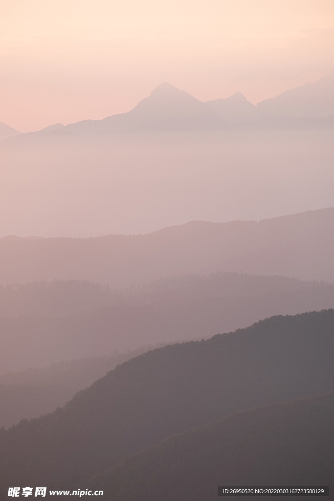 风景