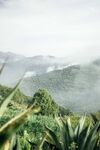 风景