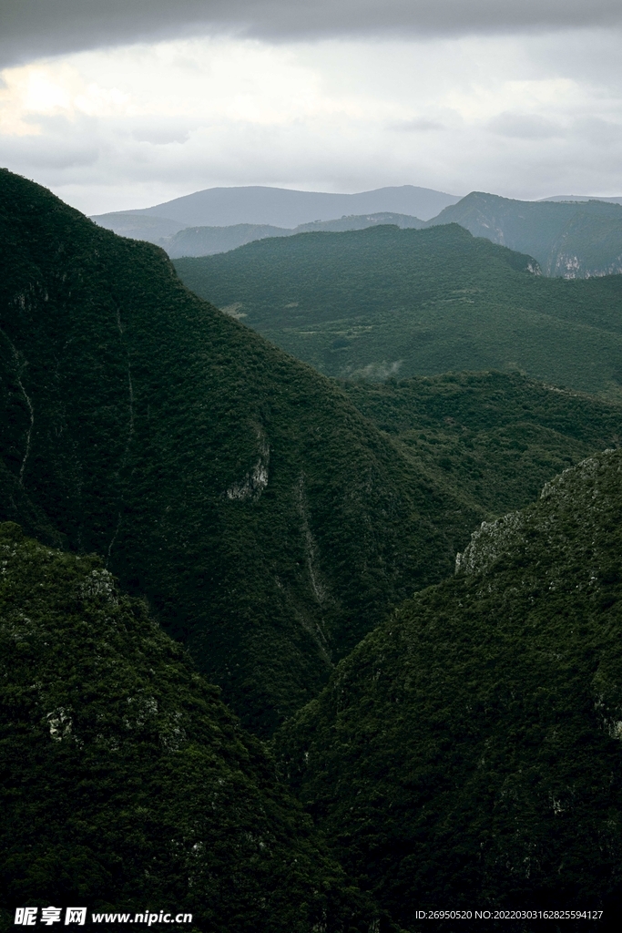 风景
