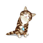 猫              