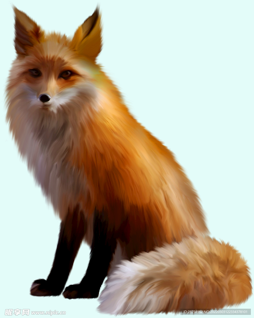 狐狸