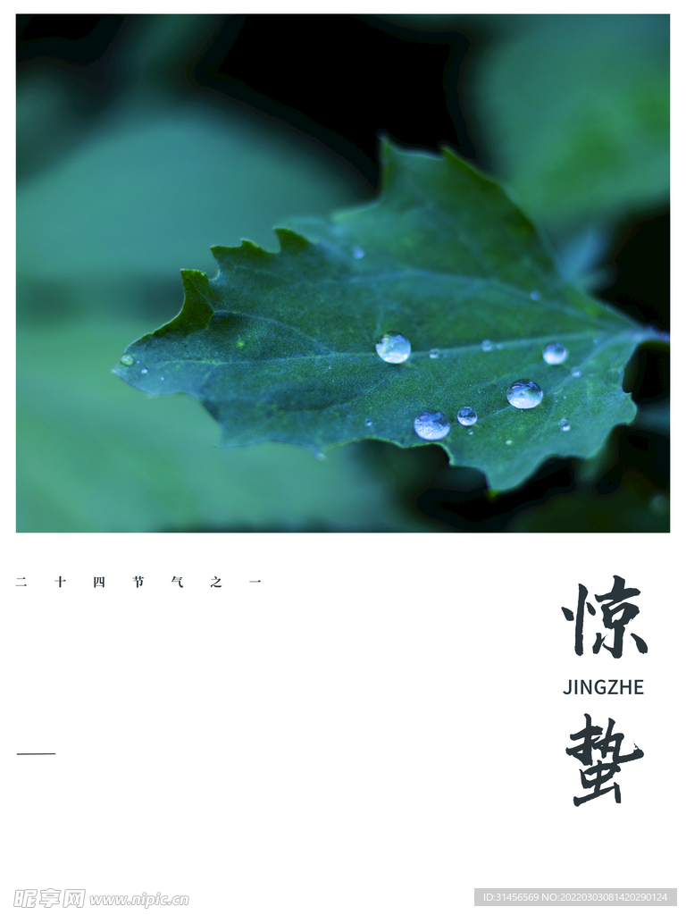 惊蛰