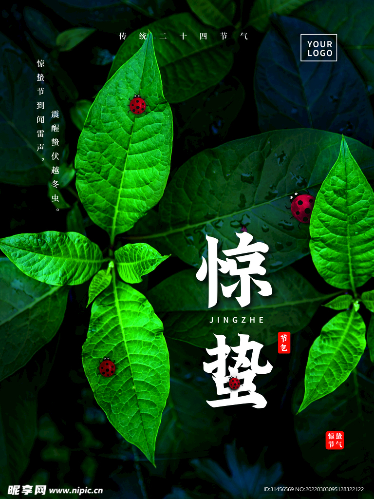 惊蛰