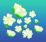 国潮梨花PSD分层素材