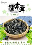 黑木耳海报