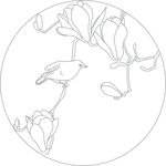 玉兰与鸟