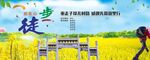 徒步油菜花  活动背景