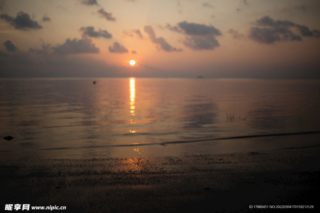 海边 