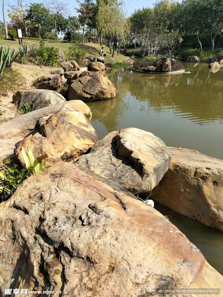 鹿江公园石头 