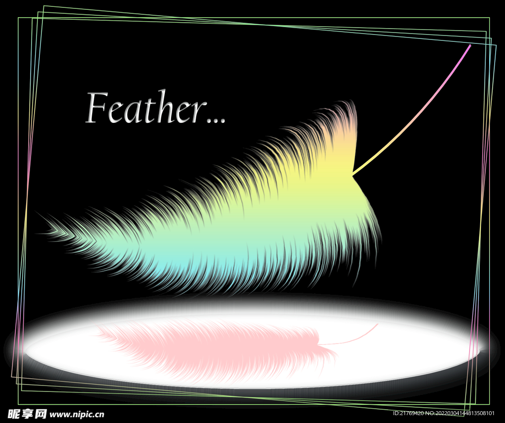 羽毛素材图片