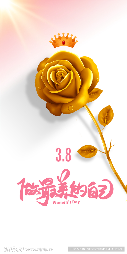 三八玫瑰