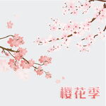 樱花季素材分层