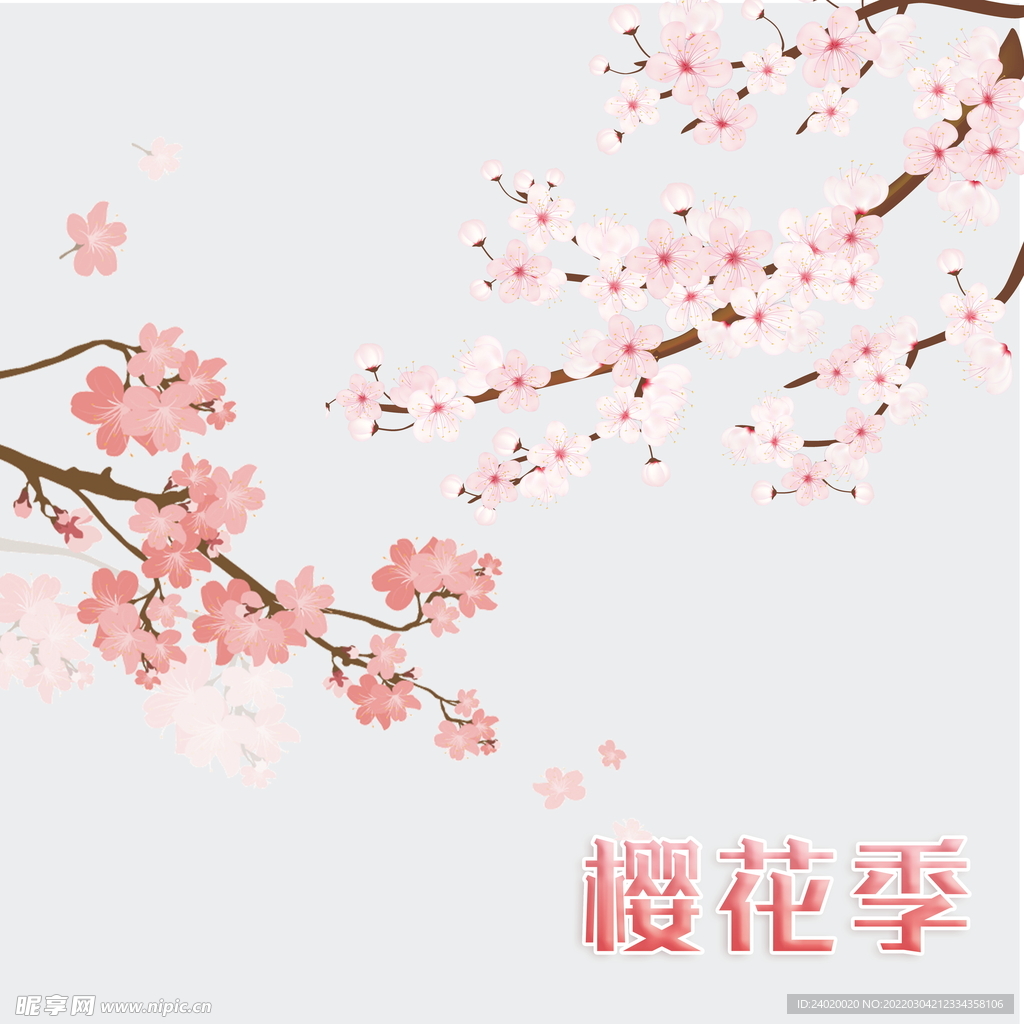 樱花季素材分层