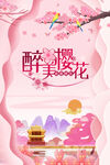 最美樱花季