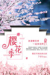 樱花季旅游