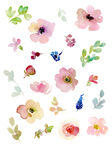 水彩花朵合集