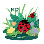 节气惊蛰雨天的瓢虫素材