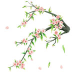 桃花枝