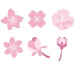 樱花矢量图