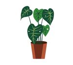 卡通矢量手绘简约绿色植物盆