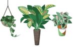 绿植素材