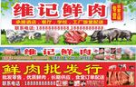 牛羊猪鲜肉批发海报