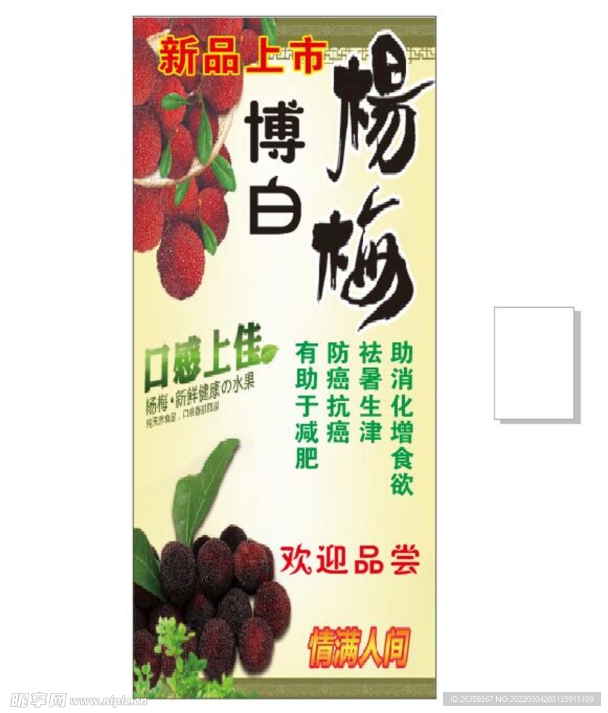 博白杨梅