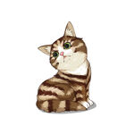 猫              