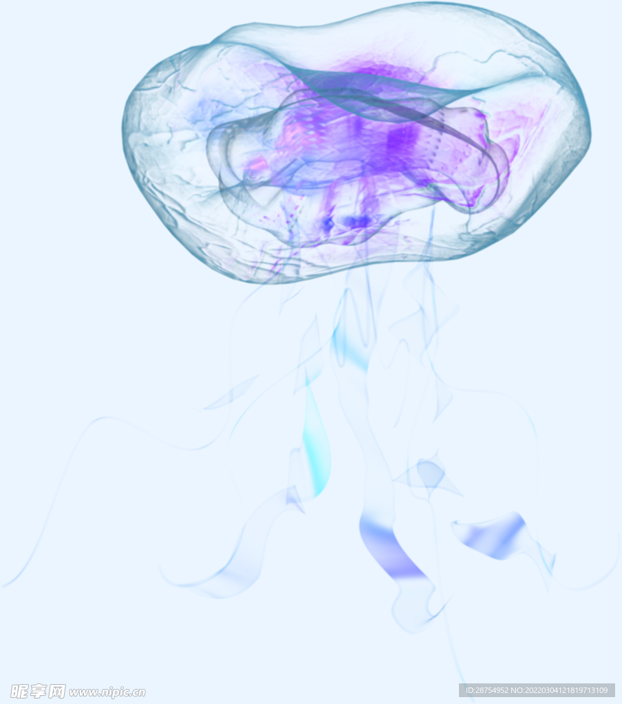 水母