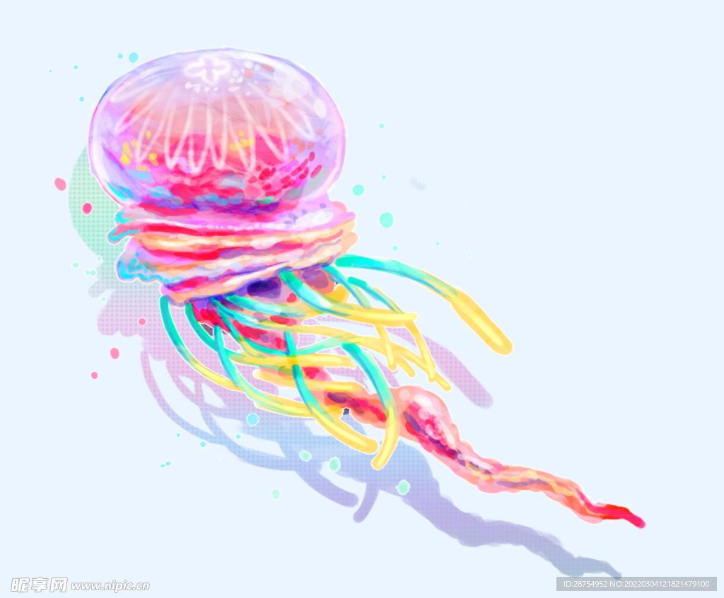 水母