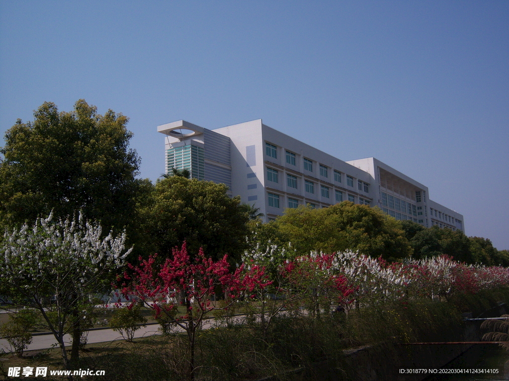 大学校园 