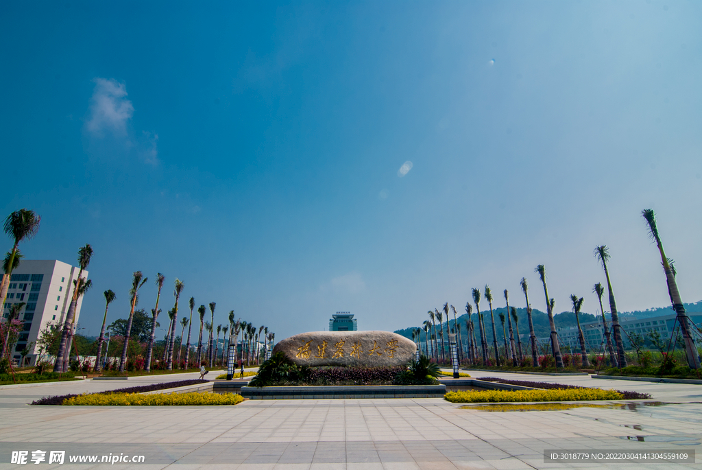 福建农林大学