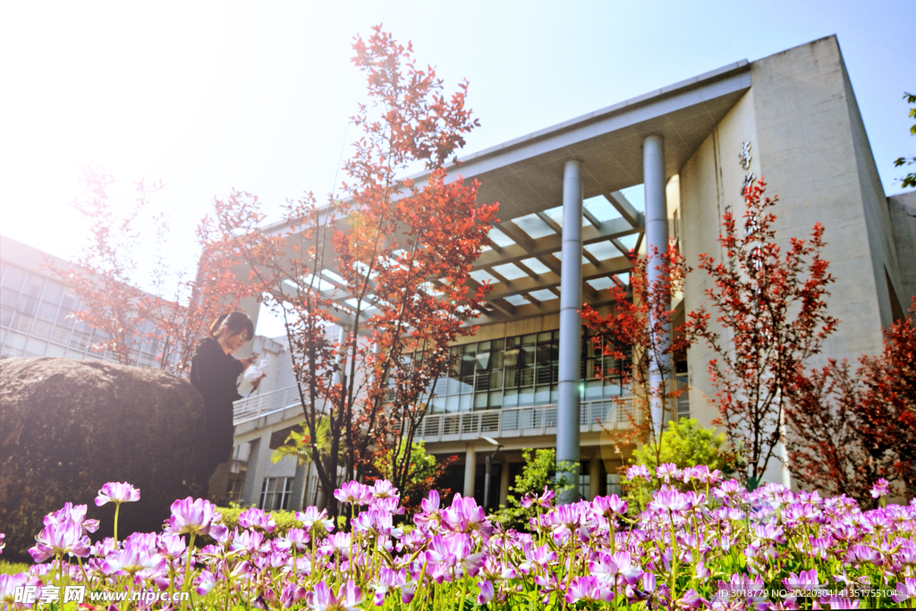 大学校园 