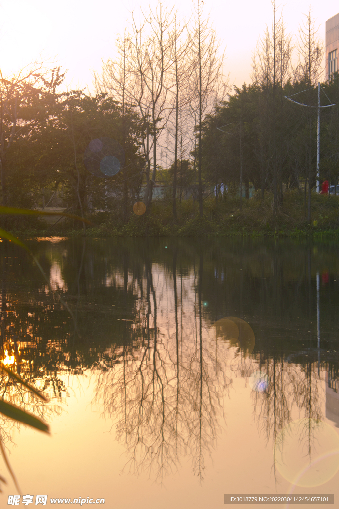 大学校园 
