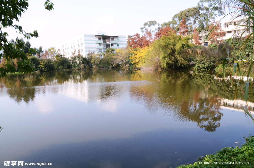 大学校园 